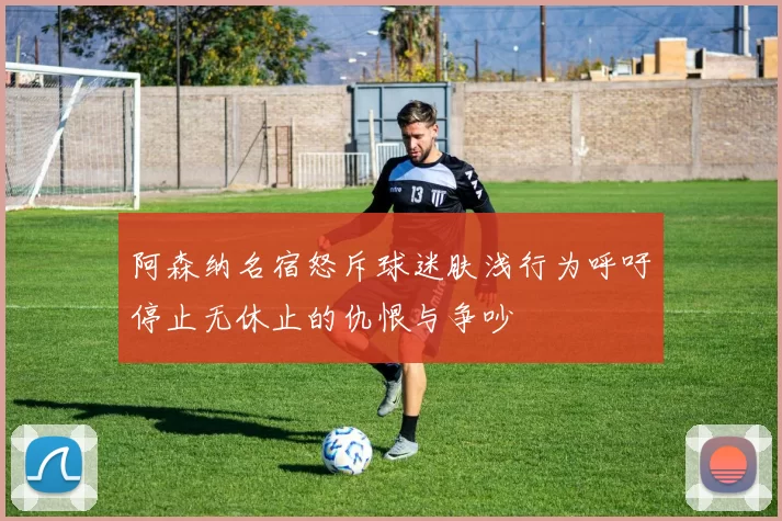 阿森纳名宿怒斥球迷肤浅行为呼吁停止无休止的仇恨与争吵